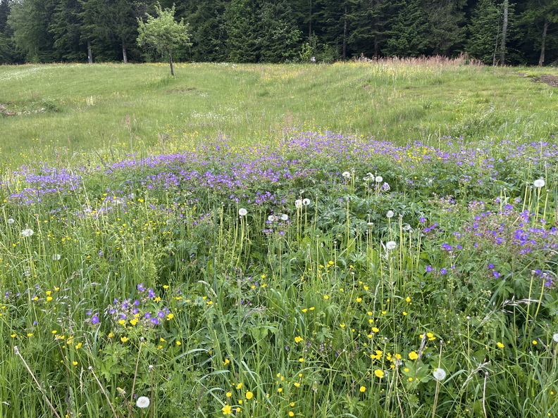 22-05-29 15-24-07 0998